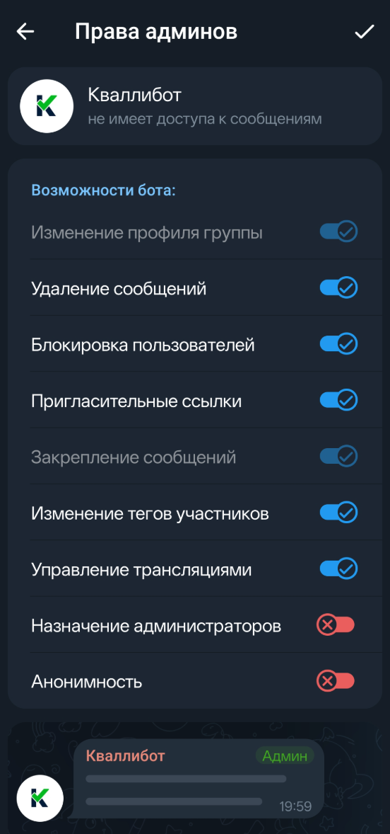 Права администратора бота — можно оставить по умолчанию